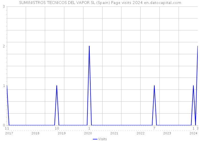 SUMINISTROS TECNICOS DEL VAPOR SL (Spain) Page visits 2024 