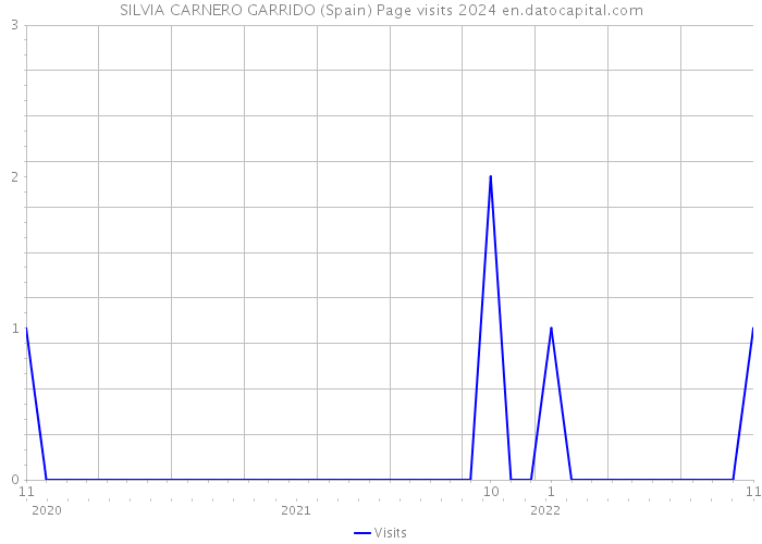 SILVIA CARNERO GARRIDO (Spain) Page visits 2024 