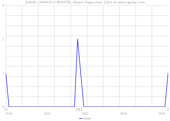 JUANA CARRASCO MONTIEL (Spain) Page visits 2024 
