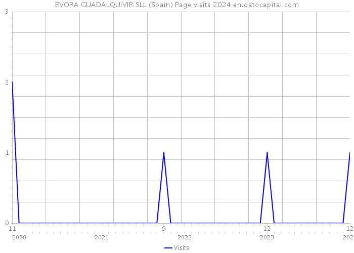 EVORA GUADALQUIVIR SLL (Spain) Page visits 2024 