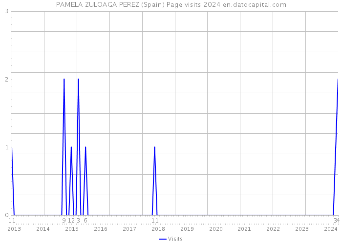 PAMELA ZULOAGA PEREZ (Spain) Page visits 2024 