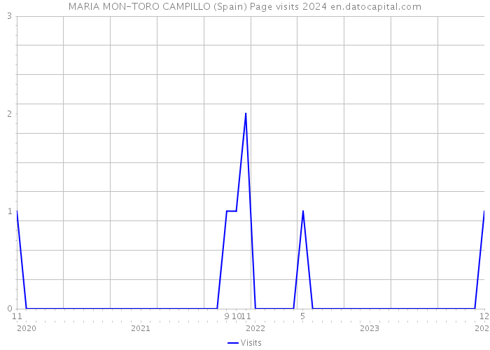 MARIA MON-TORO CAMPILLO (Spain) Page visits 2024 