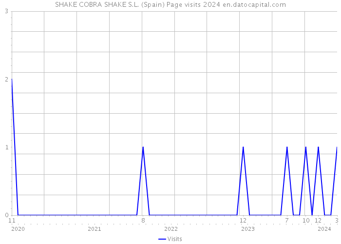 SHAKE COBRA SHAKE S.L. (Spain) Page visits 2024 