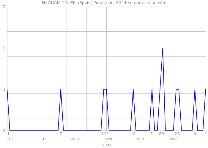HAOUAM TOUFIK (Spain) Page visits 2024 