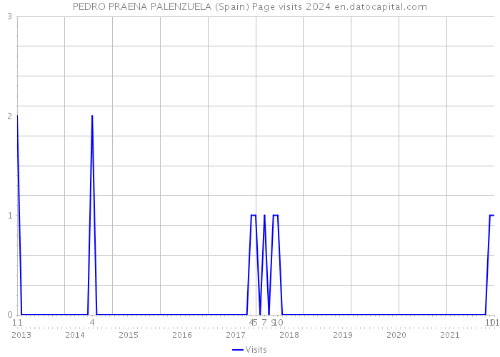 PEDRO PRAENA PALENZUELA (Spain) Page visits 2024 