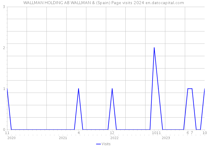 WALLMAN HOLDING AB WALLMAN & (Spain) Page visits 2024 
