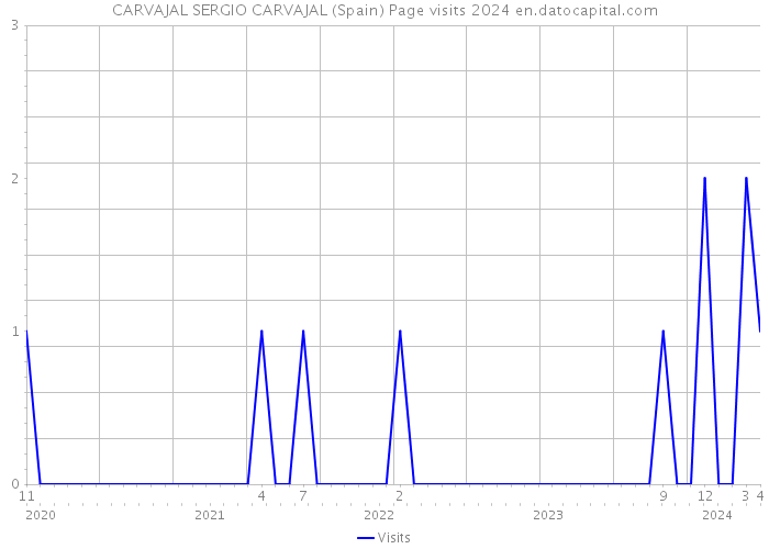 CARVAJAL SERGIO CARVAJAL (Spain) Page visits 2024 
