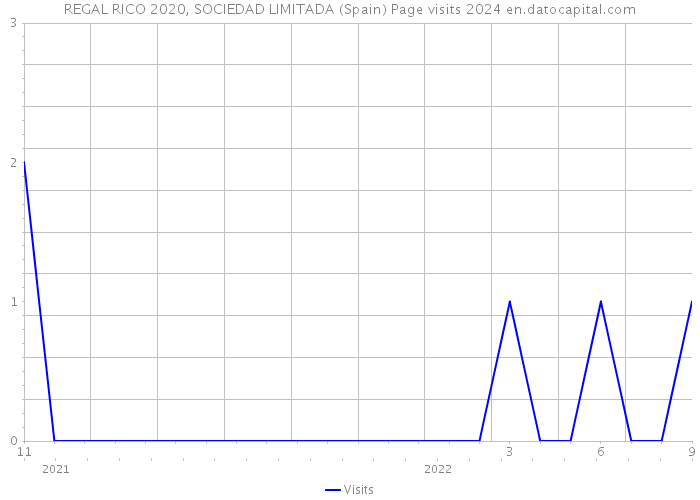 REGAL RICO 2020, SOCIEDAD LIMITADA (Spain) Page visits 2024 