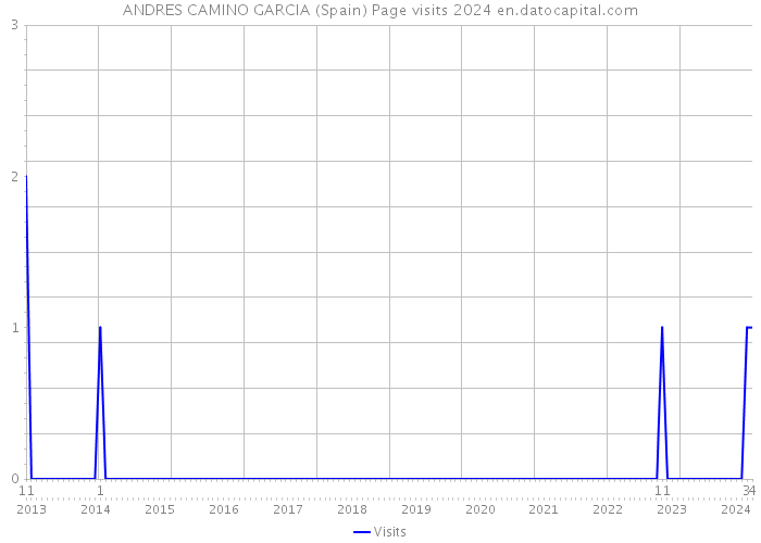 ANDRES CAMINO GARCIA (Spain) Page visits 2024 