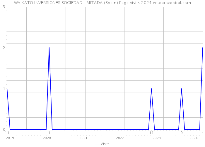 WAIKATO INVERSIONES SOCIEDAD LIMITADA (Spain) Page visits 2024 