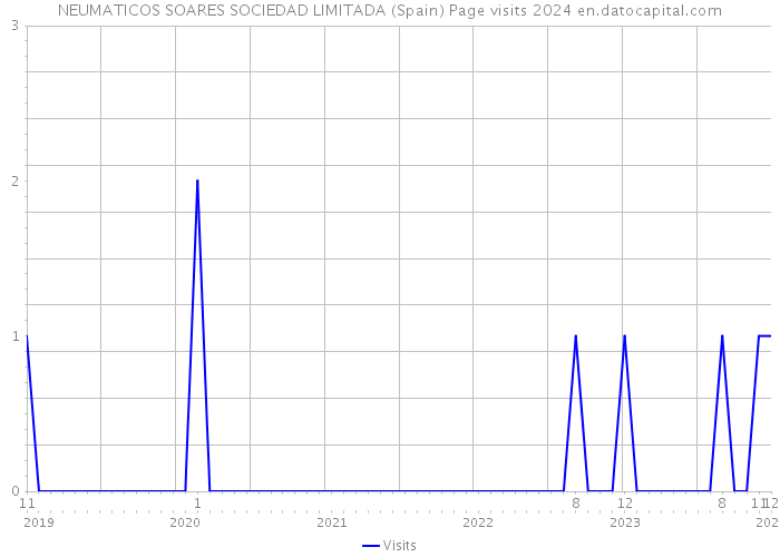 NEUMATICOS SOARES SOCIEDAD LIMITADA (Spain) Page visits 2024 
