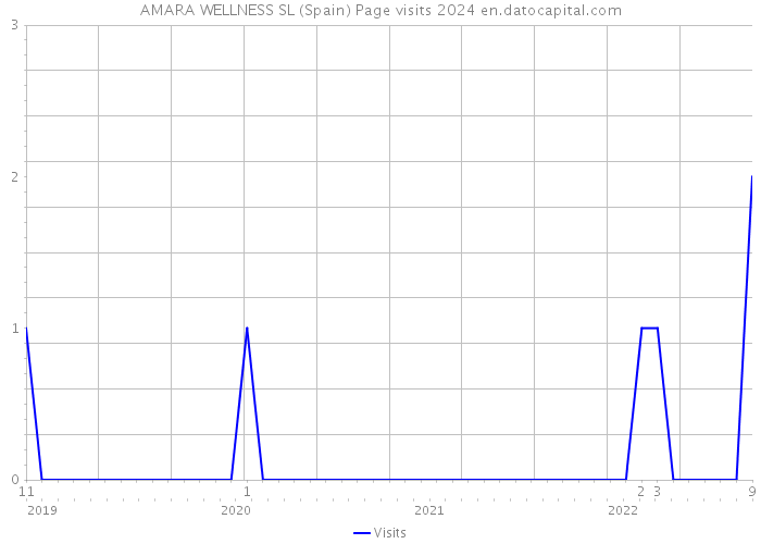AMARA WELLNESS SL (Spain) Page visits 2024 