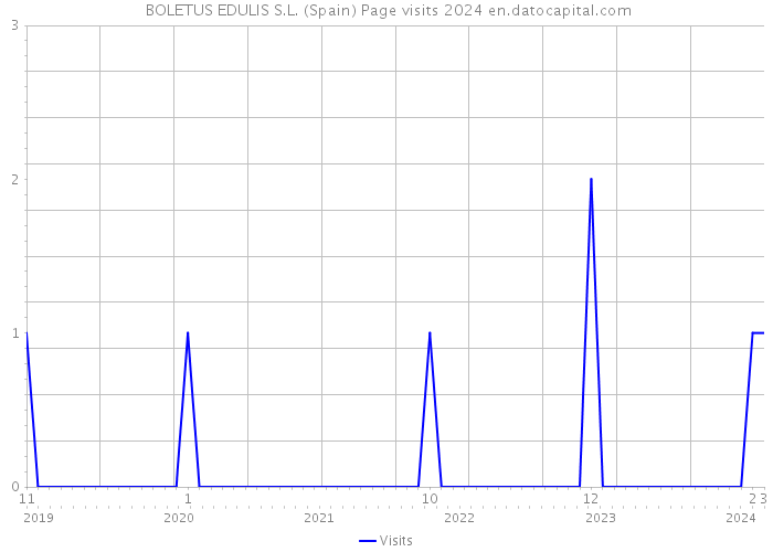  BOLETUS EDULIS S.L. (Spain) Page visits 2024 