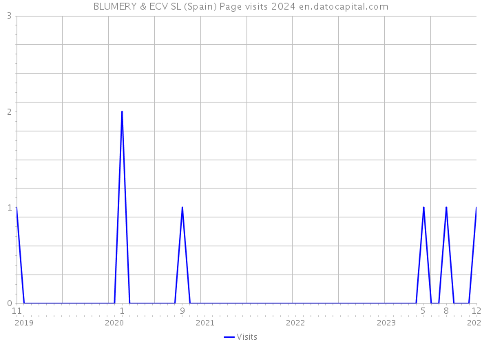 BLUMERY & ECV SL (Spain) Page visits 2024 
