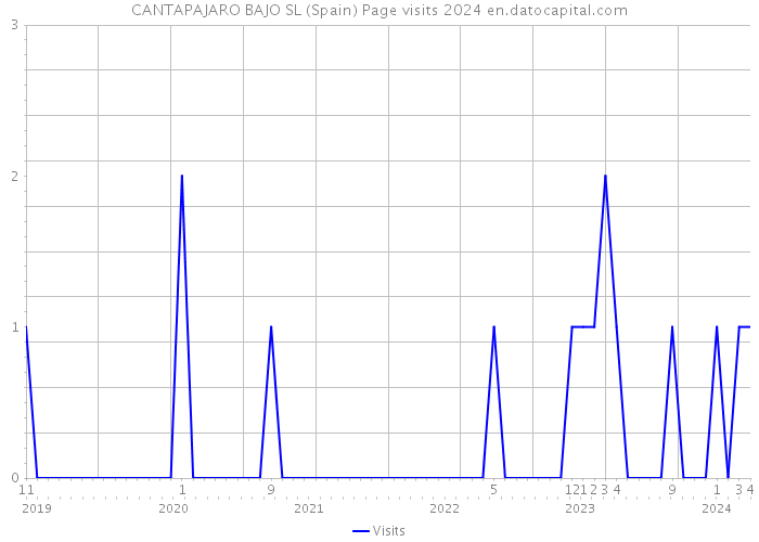 CANTAPAJARO BAJO SL (Spain) Page visits 2024 