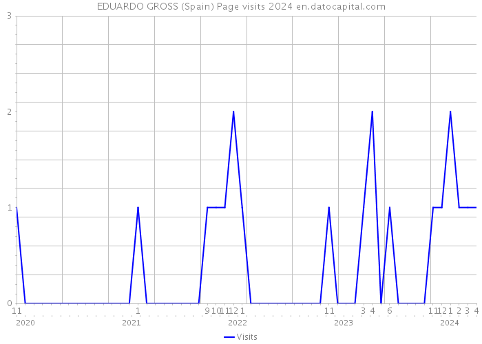 EDUARDO GROSS (Spain) Page visits 2024 