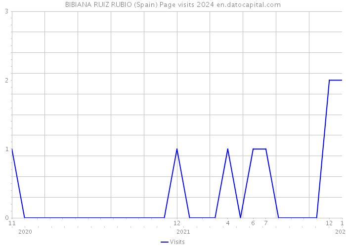 BIBIANA RUIZ RUBIO (Spain) Page visits 2024 
