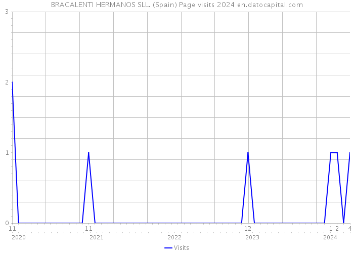 BRACALENTI HERMANOS SLL. (Spain) Page visits 2024 