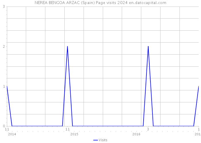 NEREA BENGOA ARZAC (Spain) Page visits 2024 