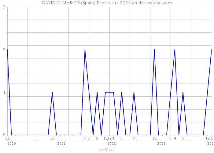 DAVID CUMMINGS (Spain) Page visits 2024 