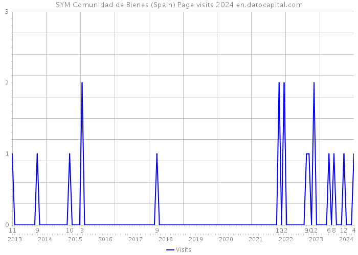 SYM Comunidad de Bienes (Spain) Page visits 2024 