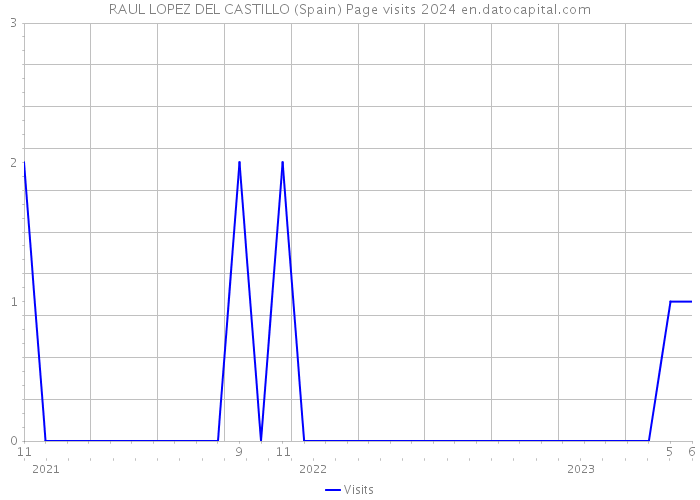 RAUL LOPEZ DEL CASTILLO (Spain) Page visits 2024 