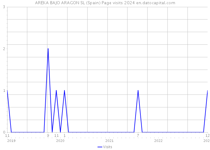 AREKA BAJO ARAGON SL (Spain) Page visits 2024 