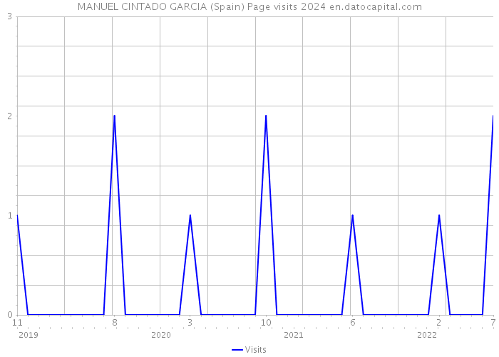 MANUEL CINTADO GARCIA (Spain) Page visits 2024 