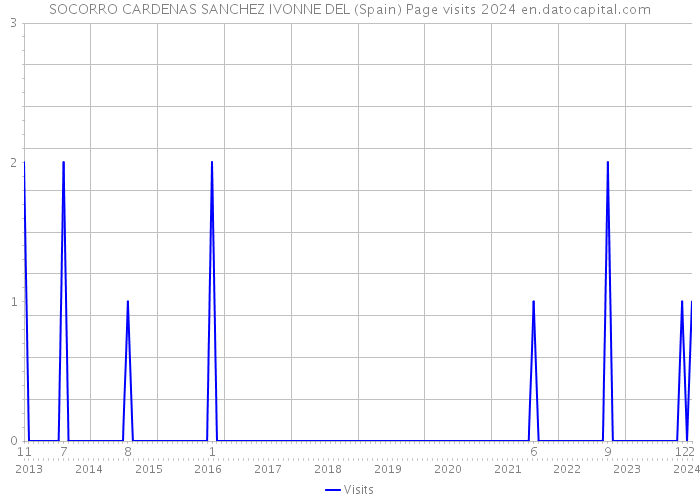 SOCORRO CARDENAS SANCHEZ IVONNE DEL (Spain) Page visits 2024 