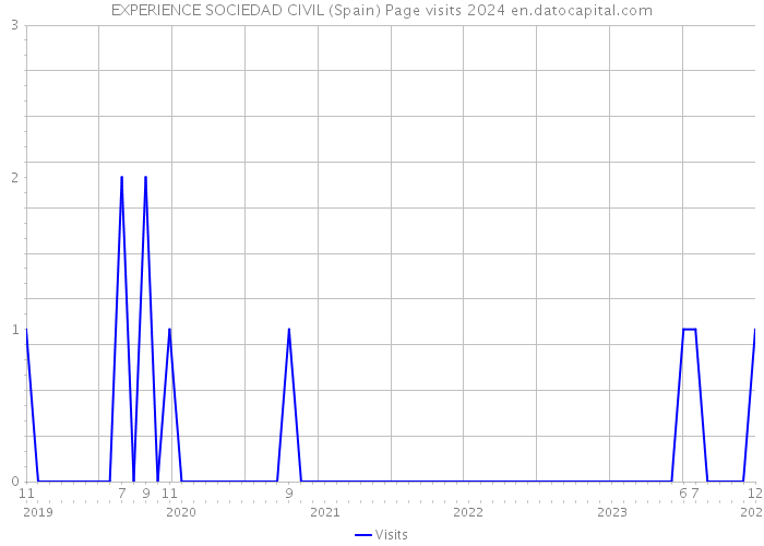 EXPERIENCE SOCIEDAD CIVIL (Spain) Page visits 2024 