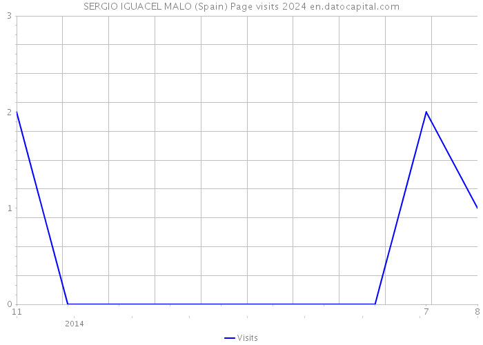 SERGIO IGUACEL MALO (Spain) Page visits 2024 
