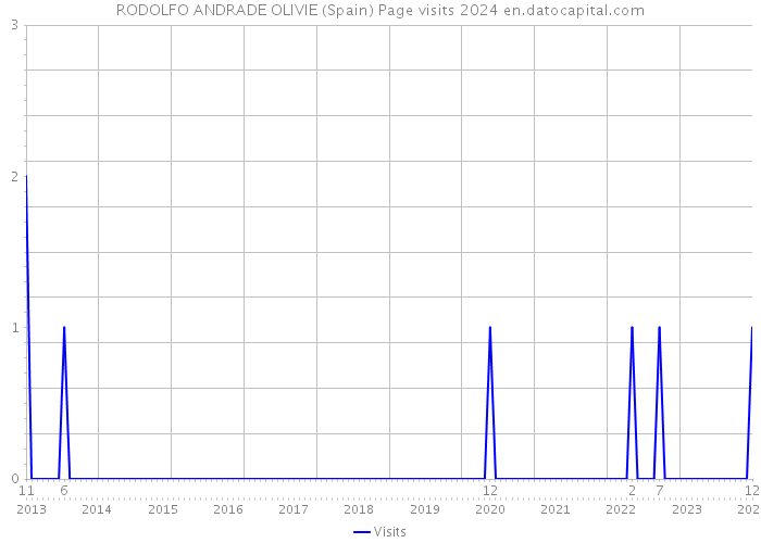 RODOLFO ANDRADE OLIVIE (Spain) Page visits 2024 