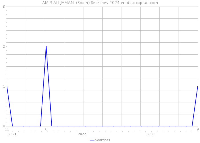 AMIR ALI JAMANI (Spain) Searches 2024 