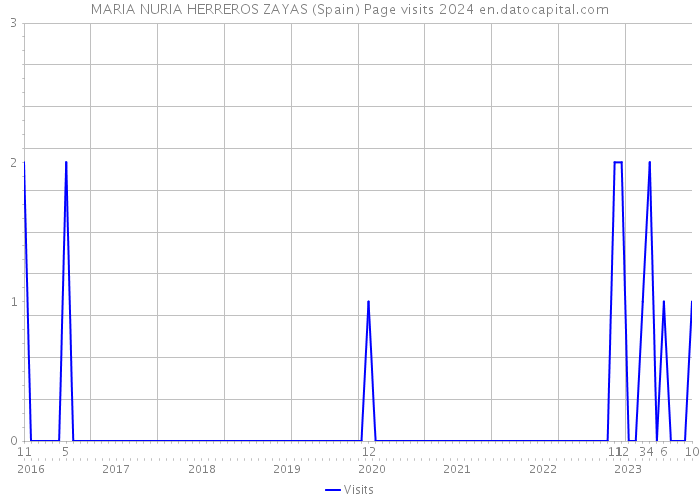 MARIA NURIA HERREROS ZAYAS (Spain) Page visits 2024 