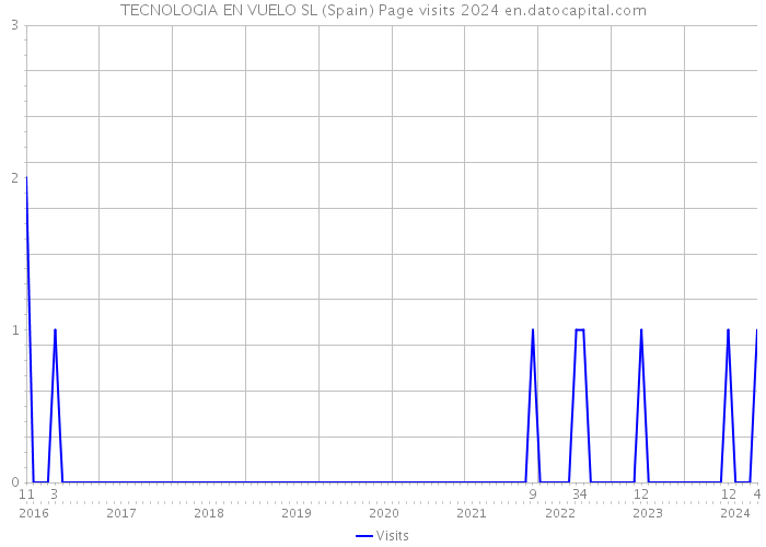 TECNOLOGIA EN VUELO SL (Spain) Page visits 2024 