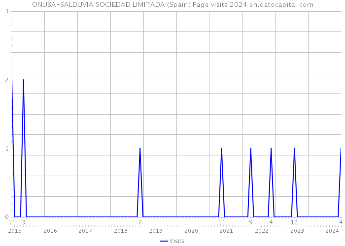 ONUBA-SALDUVIA SOCIEDAD LIMITADA (Spain) Page visits 2024 