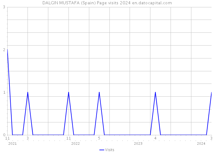 DALGIN MUSTAFA (Spain) Page visits 2024 