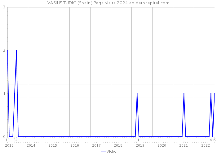 VASILE TUDIC (Spain) Page visits 2024 