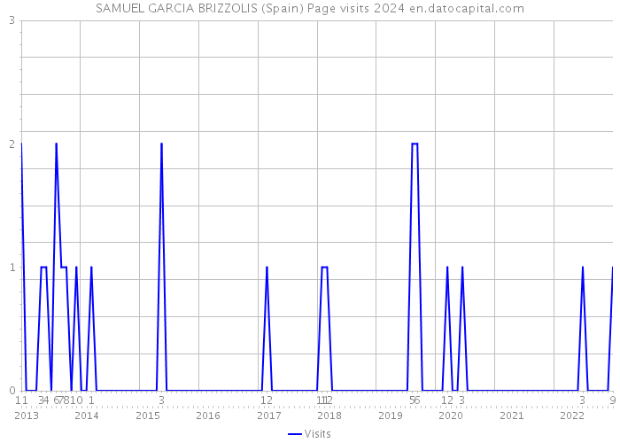 SAMUEL GARCIA BRIZZOLIS (Spain) Page visits 2024 