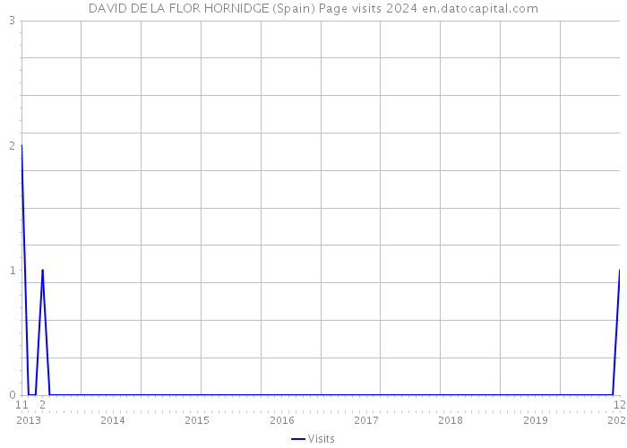 DAVID DE LA FLOR HORNIDGE (Spain) Page visits 2024 