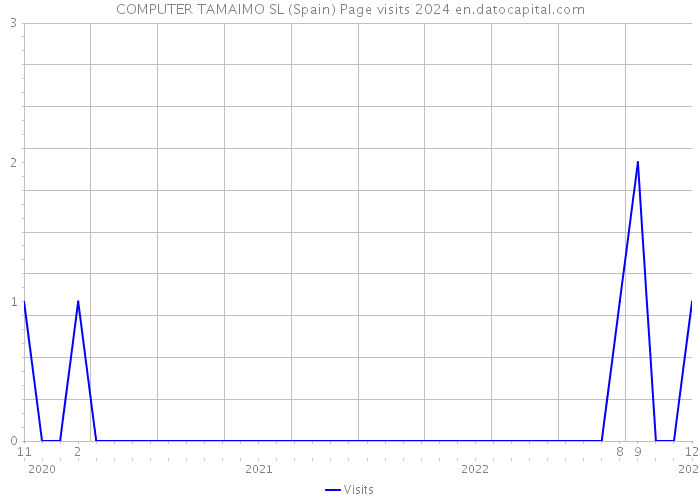 COMPUTER TAMAIMO SL (Spain) Page visits 2024 
