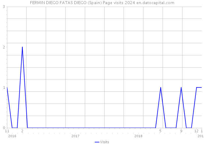 FERMIN DIEGO FATAS DIEGO (Spain) Page visits 2024 