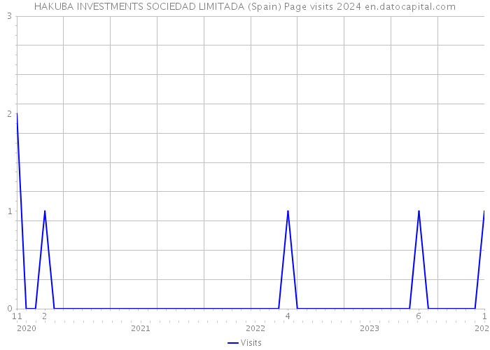 HAKUBA INVESTMENTS SOCIEDAD LIMITADA (Spain) Page visits 2024 
