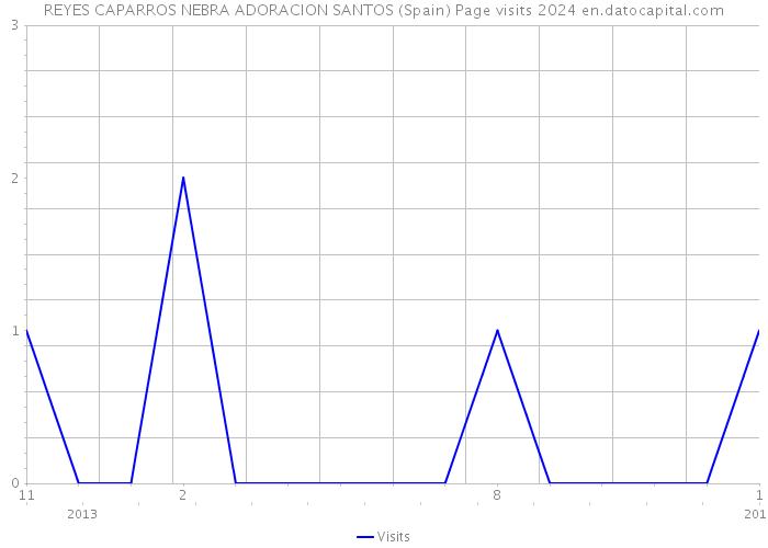 REYES CAPARROS NEBRA ADORACION SANTOS (Spain) Page visits 2024 