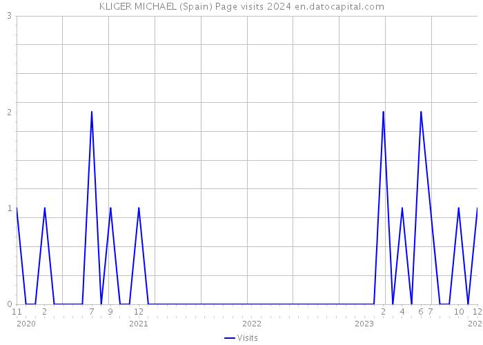 KLIGER MICHAEL (Spain) Page visits 2024 
