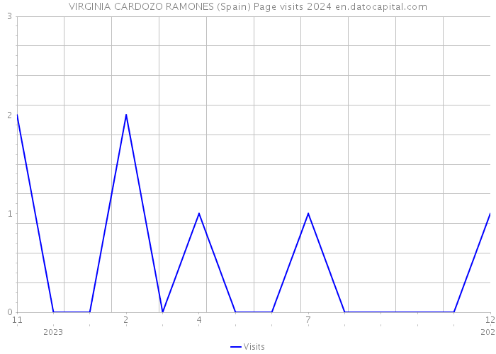 VIRGINIA CARDOZO RAMONES (Spain) Page visits 2024 