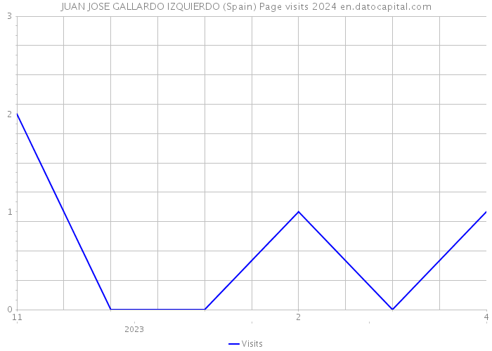 JUAN JOSE GALLARDO IZQUIERDO (Spain) Page visits 2024 