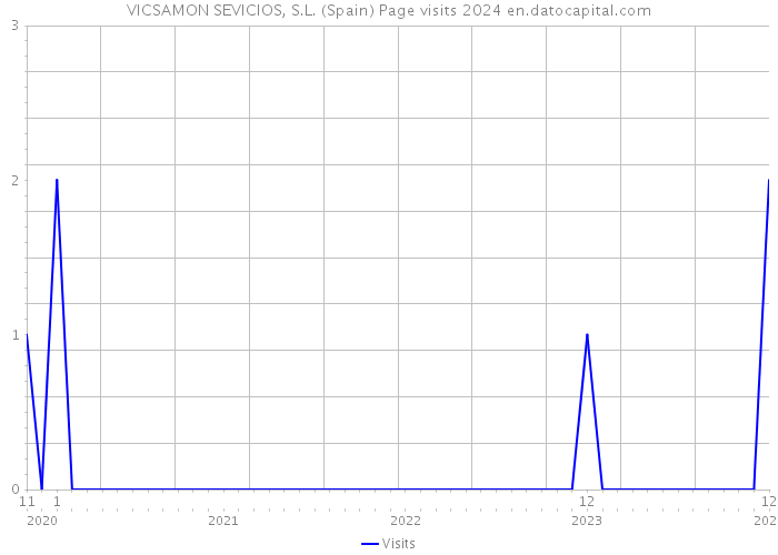 VICSAMON SEVICIOS, S.L. (Spain) Page visits 2024 