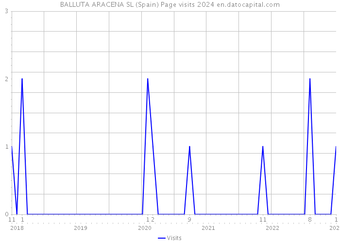BALLUTA ARACENA SL (Spain) Page visits 2024 