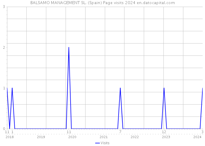 BALSAMO MANAGEMENT SL. (Spain) Page visits 2024 